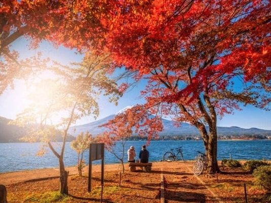 Vẻ đẹp thơ mộng đầy lãng mạn của hồ Kawaguchi nổi tiếng Nhật Bản